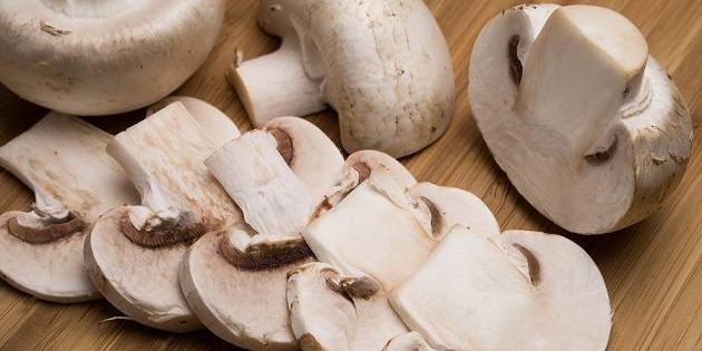 Resultado de imagen de champiñones